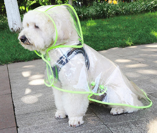 Dog Raincoat