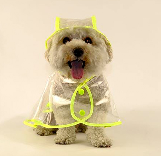 Fashion waterproof breathable pet raincoat jacket with hood for outdoor dog walking