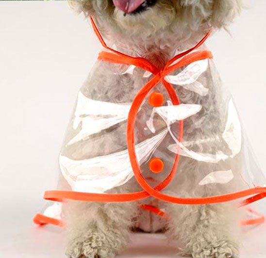 Fashion waterproof breathable pet raincoat jacket with hood for outdoor dog walking