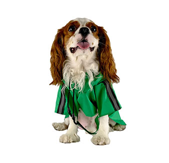 Small and medium-sized waterproof universal reflective pet raincoat, dog outdoor travel