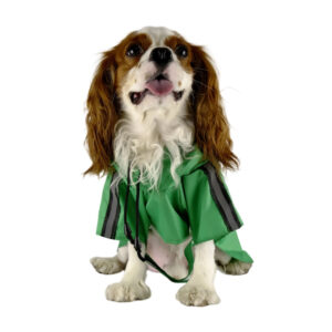 Poly Pongee Green Pet Raincoat Reflective Strip With Hood for Dogs