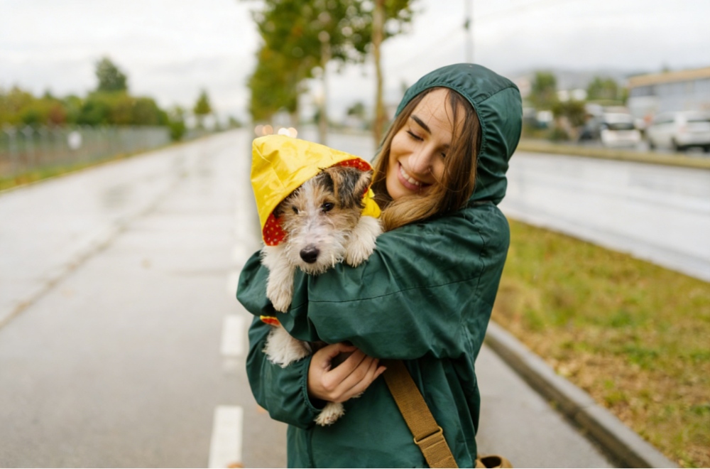 Is a Raincoat for Dog Necessary? 5 Reasons to Get One Today Is a Raincoat for Dog Necessary? 5 Reasons to Get One Today